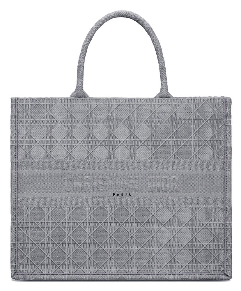 Christian Dior Cannage Embroidered Velvet Dior Book Tote Grey